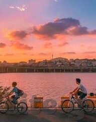 http:麻豆视频.com-探索网络世界的全新视界，麻豆视频的奇妙旅程
