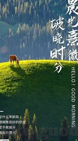 麻豆91av-麻豆91AV的虚拟现实之旅，行业透视与内容创新