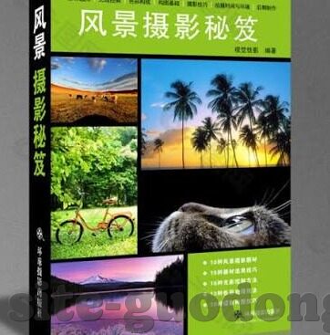 麻豆91香蕉-麻豆91与香蕉，网络文化的独特风景与素材选择