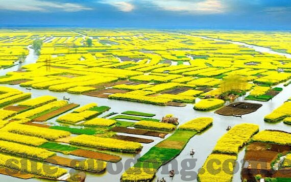 麻豆中文字幕视频-麻豆中文字幕——滋养影迷心灵的文化瑰宝