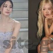 美国发布发站大象传媒-美国的发声大象传媒，重塑媒体生态的革新力量