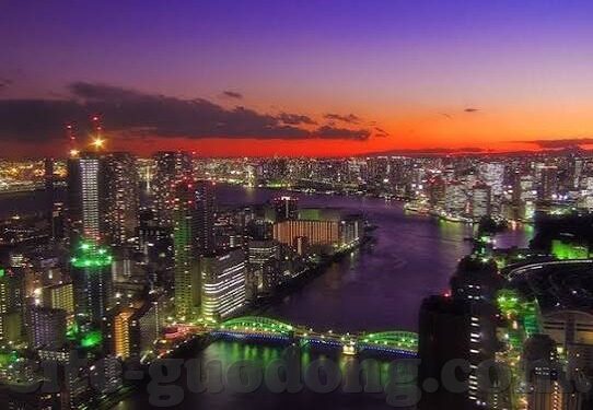 糖心app官网下载最新版-糖心App升级之旅，探索最新版官网下载的便捷与乐趣